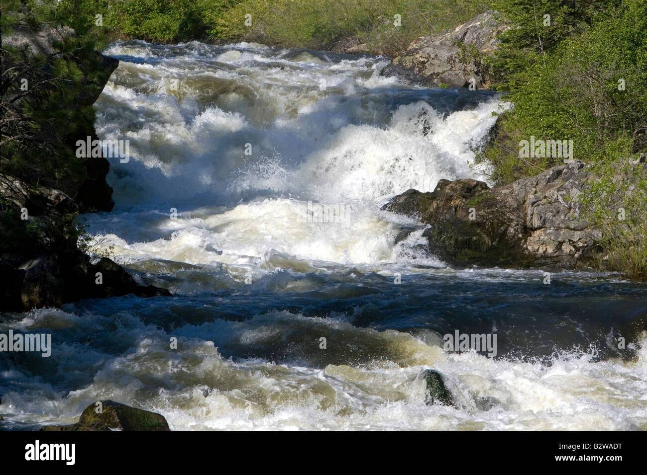 The Little Salmon River in Adams County Idaho Stock Photo
