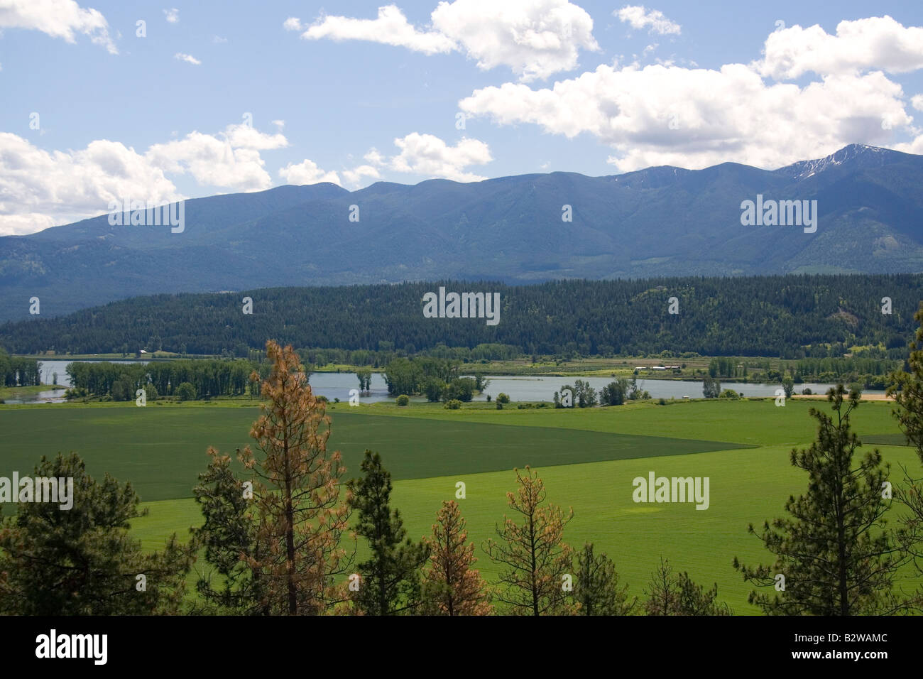 The Kootenai River at Bonners Ferry Idaho Stock Photo 18996892 Alamy