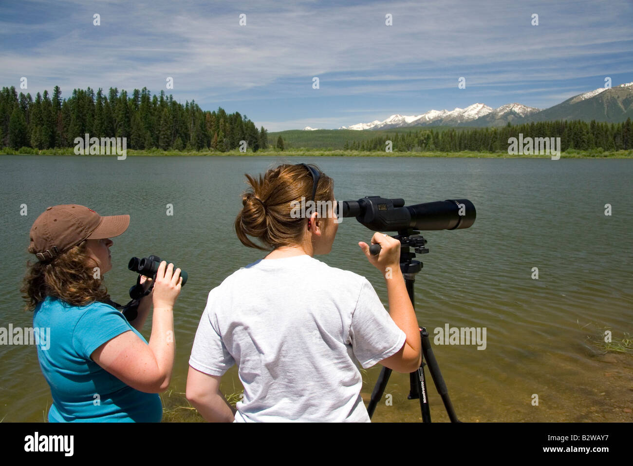 Wildlife biologists viewing nesting loons at Summit Lake Montana Stock Photo
