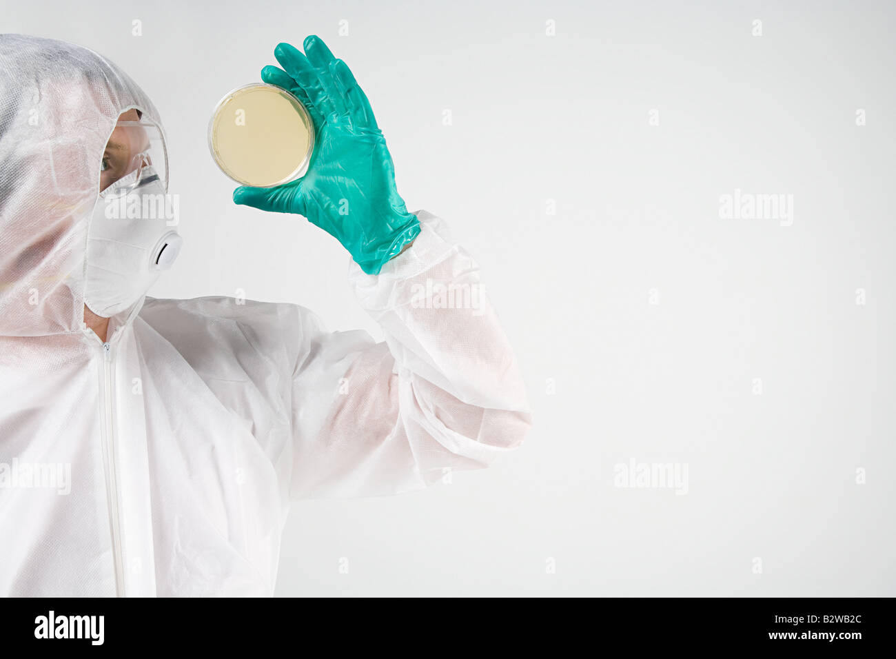 Scientist holding petri dish Stock Photo