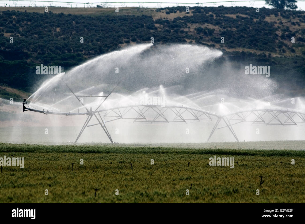 Sprinkler irrigation of a wheat field in Elmore County Idaho Stock Photo