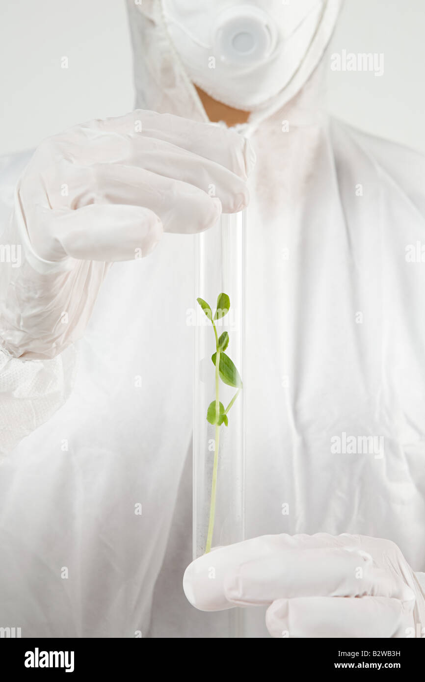 Scientist with plant in test tube Stock Photo