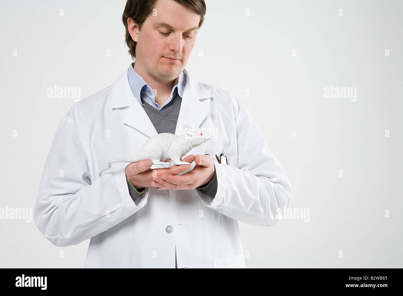 Scientist holding rat Stock Photo