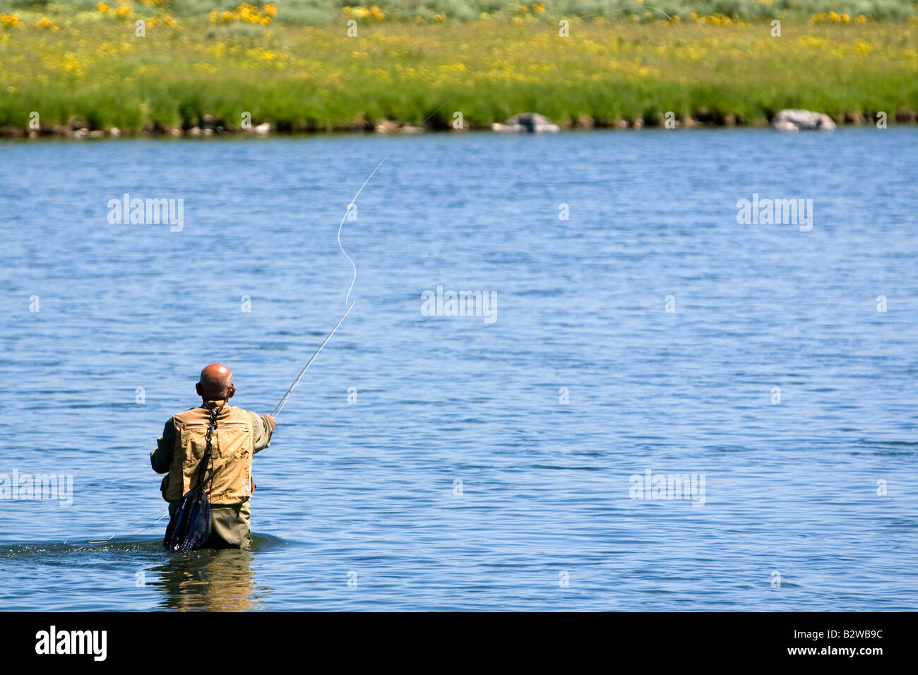 Fly fishing at Last Chance on The Henrys Fork in Idaho Stock Photo Alamy