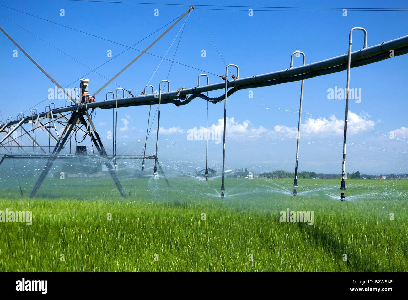Pivot irrigation of a green wheat field near St Anthony Idaho Stock Photo