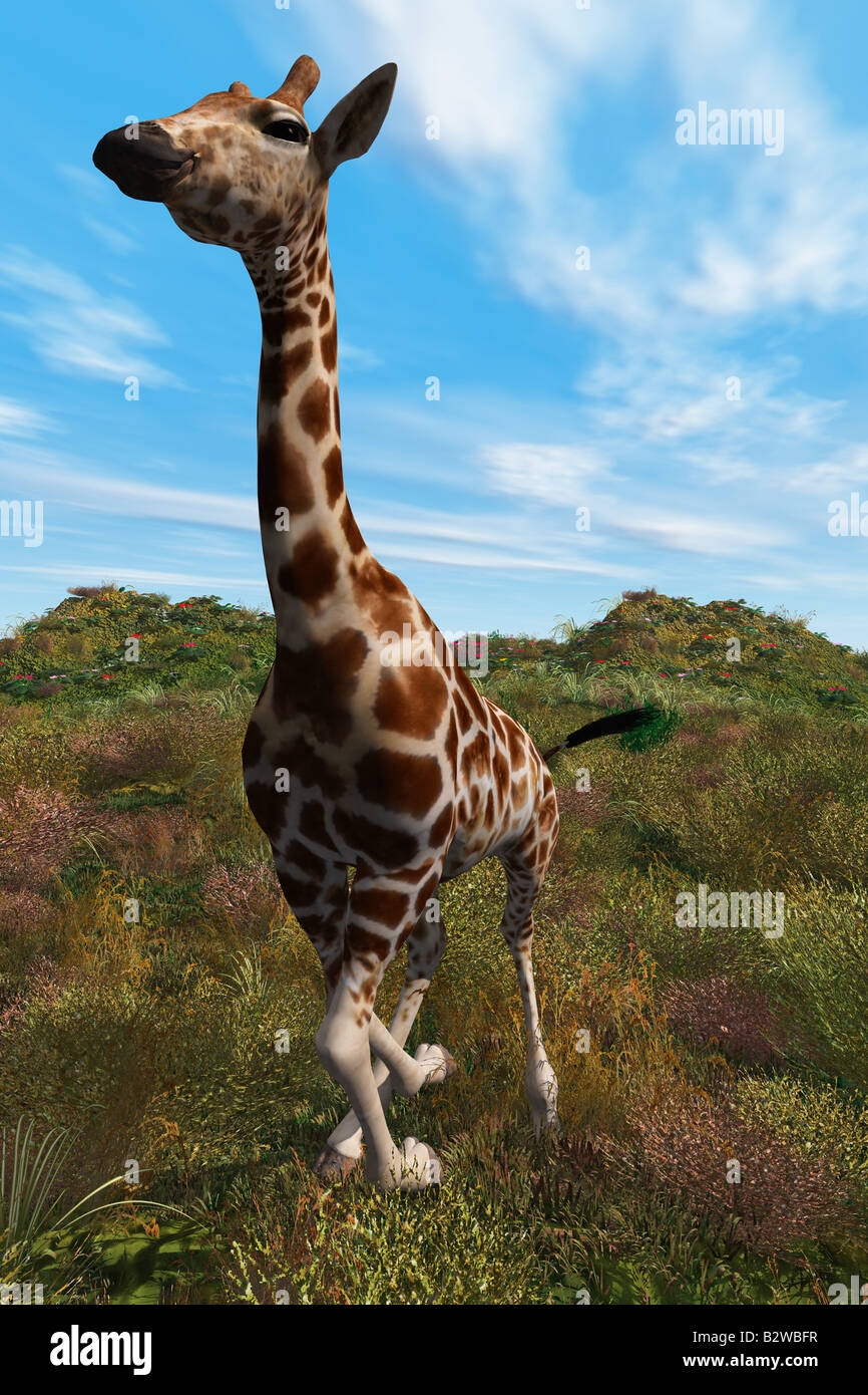 Giraffe species illustration hi-res stock photography and images - Alamy