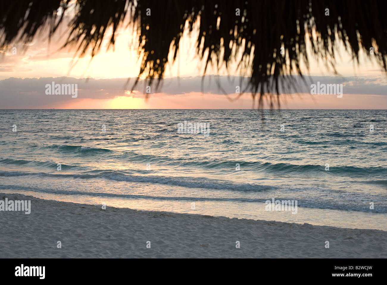 Sunset on a beach Stock Photo - Alamy