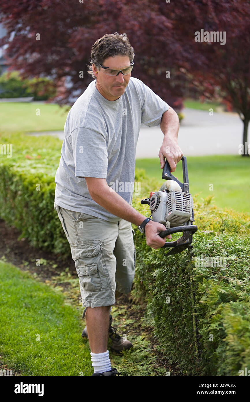 A gardener trimming a hedge Stock Photo Alamy