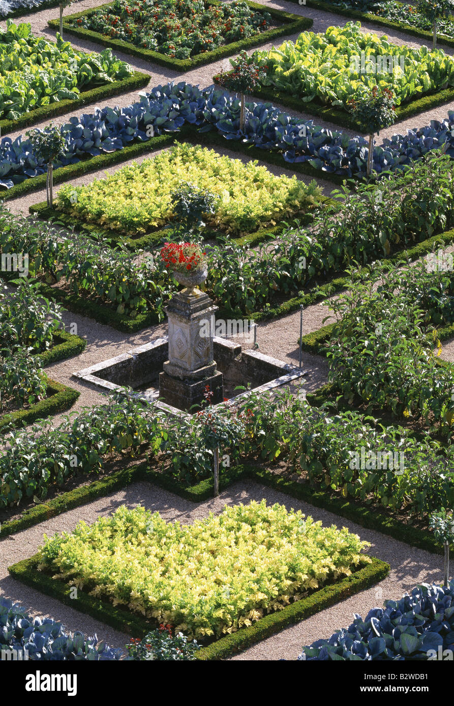 Villandry, Schloß, Gemüsegarten Stock Photo Alamy