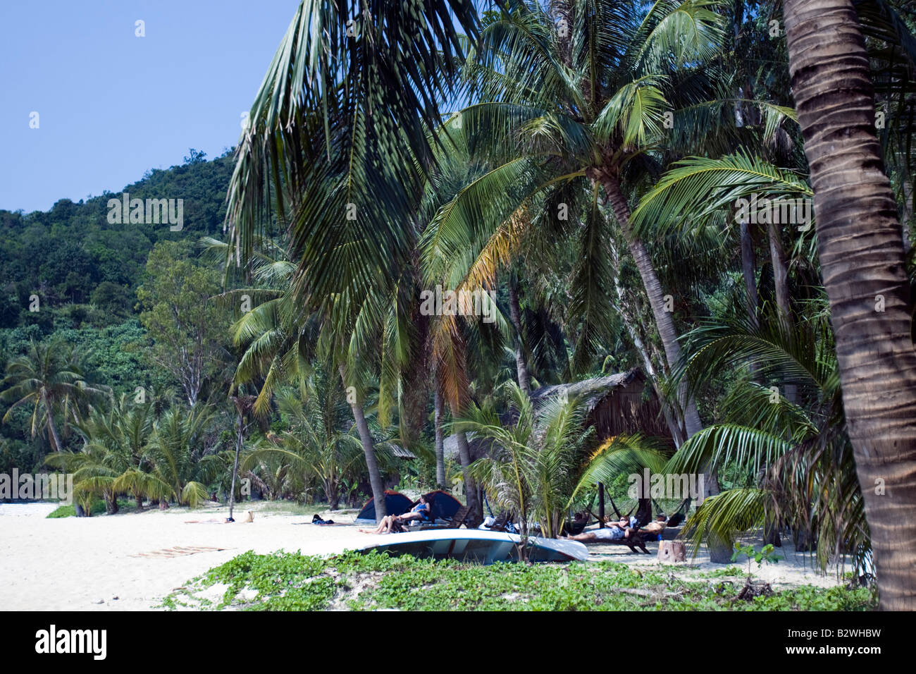 Palm trees line white sand beach Cham Island off historic Hoi An Vietnam Stock Photo