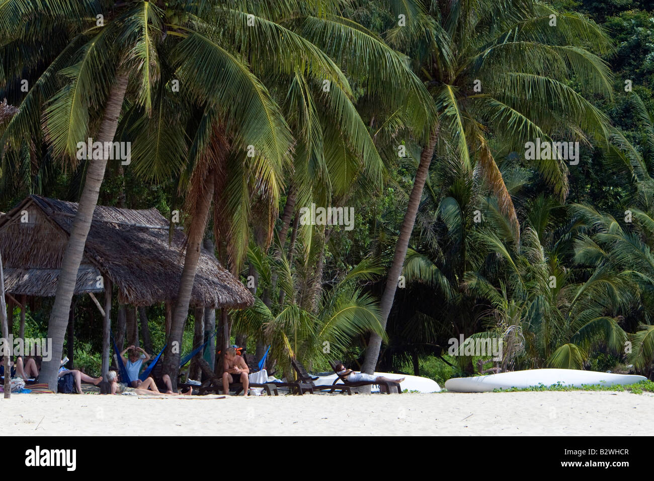 Visitors relax beneath palm trees on white sand beach Cham Island off historic Hoi An Vietnam Stock Photo