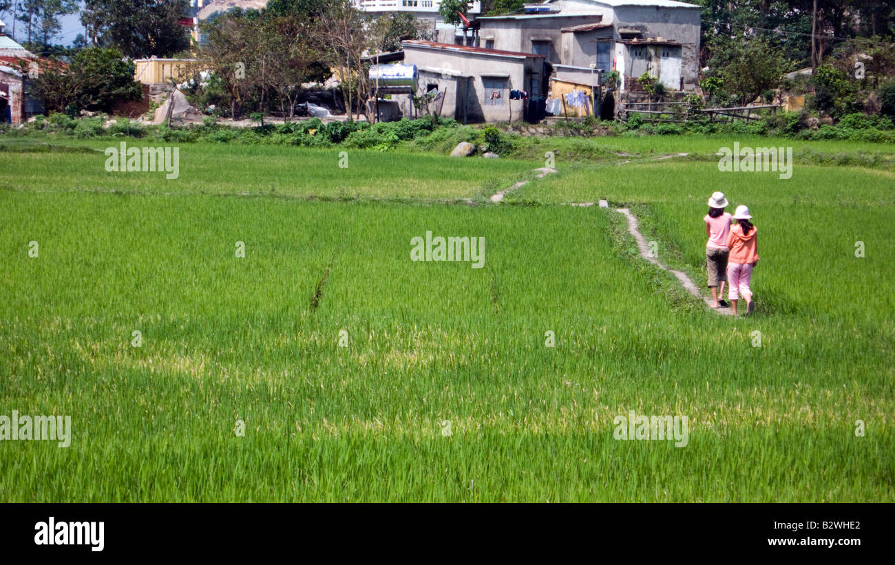 Two women make their way on tracks through rice paddy Cham Island off historic Hoi An Vietnam Stock Photo