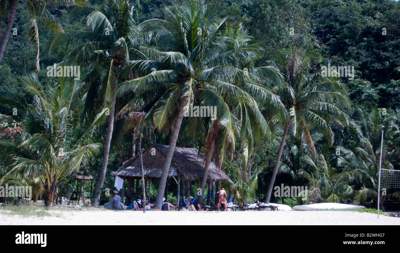 Palms line white sand Chong Beach Cham Island off historic Hoi An Vietnam Stock Photo