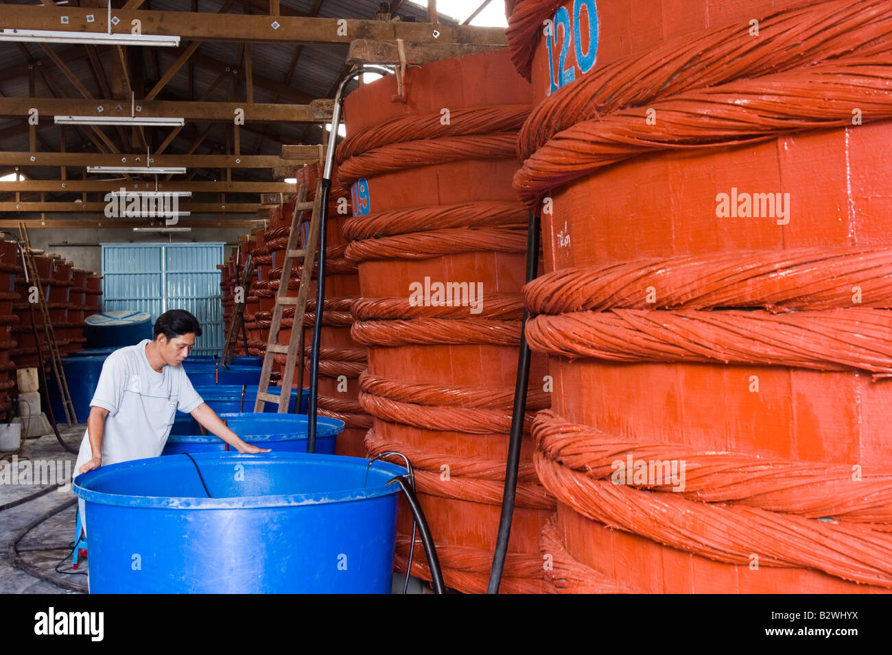 Man supervises large vats of fermenting fish sauce at factory Phu Quoc Island Vietnam Stock Photo