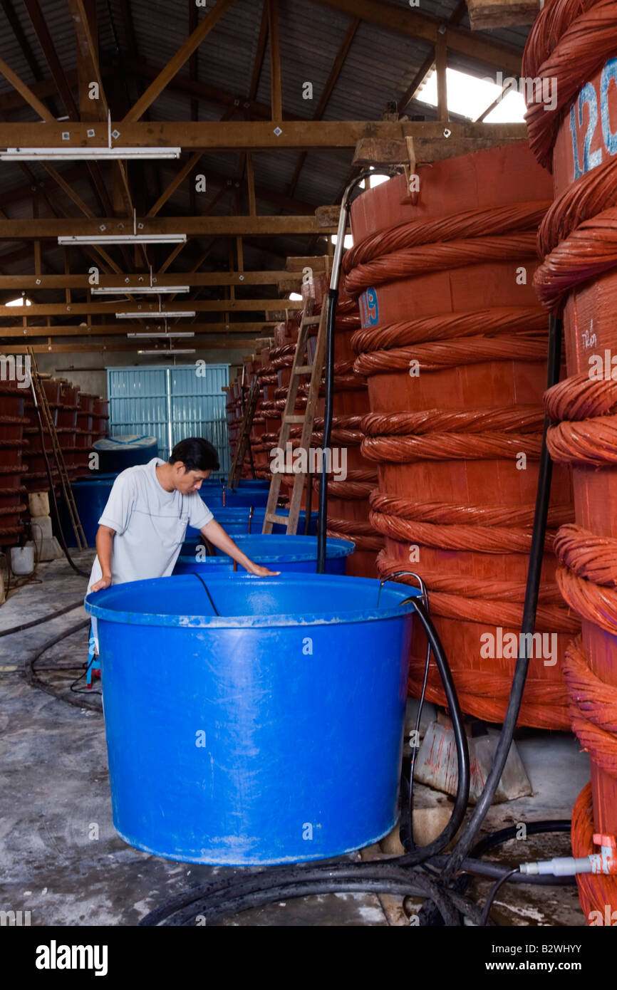 Man supervises large vats of fermenting fish sauce at factory Phu Quoc Island Vietnam Stock Photo