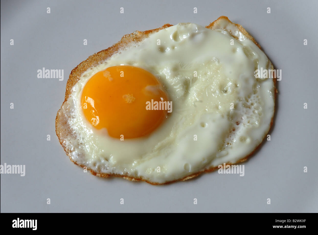 Fried egg on a white plate Stock Photo - Alamy