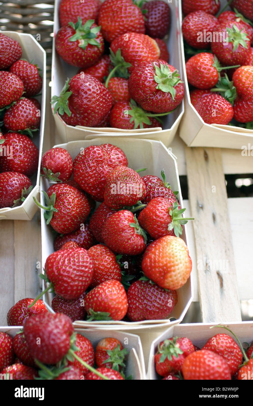 of strawberries Stock Photo Alamy