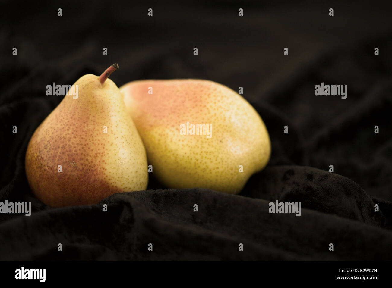 two pears of "Forelle" sort placed on black velveteen fabric Stock Photo