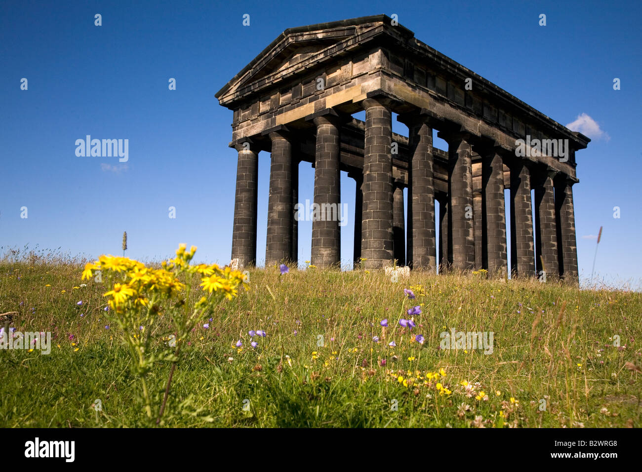 Penshaw Monument in Sunderland, England. Yellow wild flowers boom by the Victorian landmark. Stock Photo