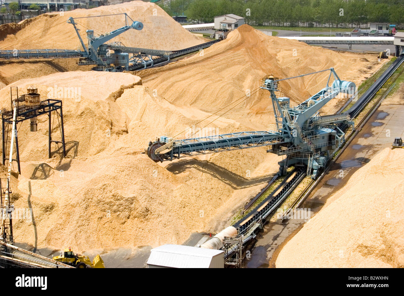 Wood chip piles at Paper Mill Stock Photo Alamy