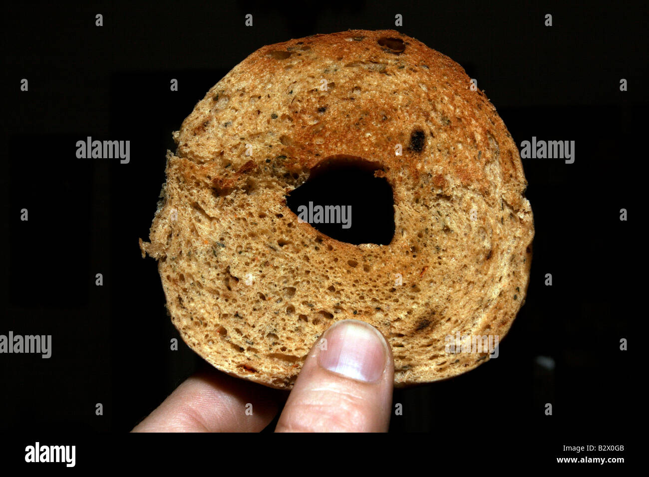 Whole wheat, herb, and grain bagel toasted on one half of one side held by a male caucasian hand (left). Stock Photo
