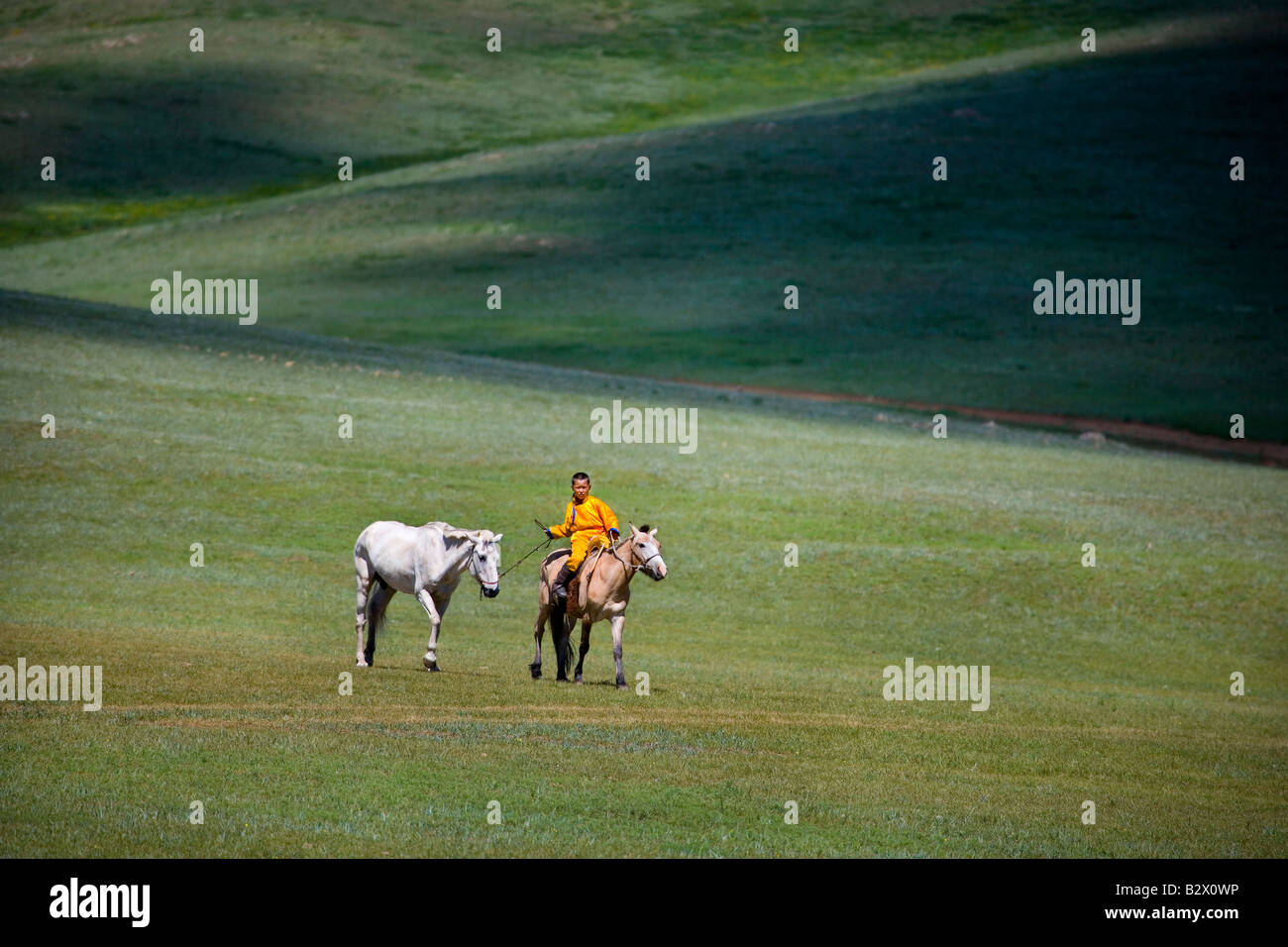 Young horseman in the countryside near Ulaabaatar Stock Photo - Alamy