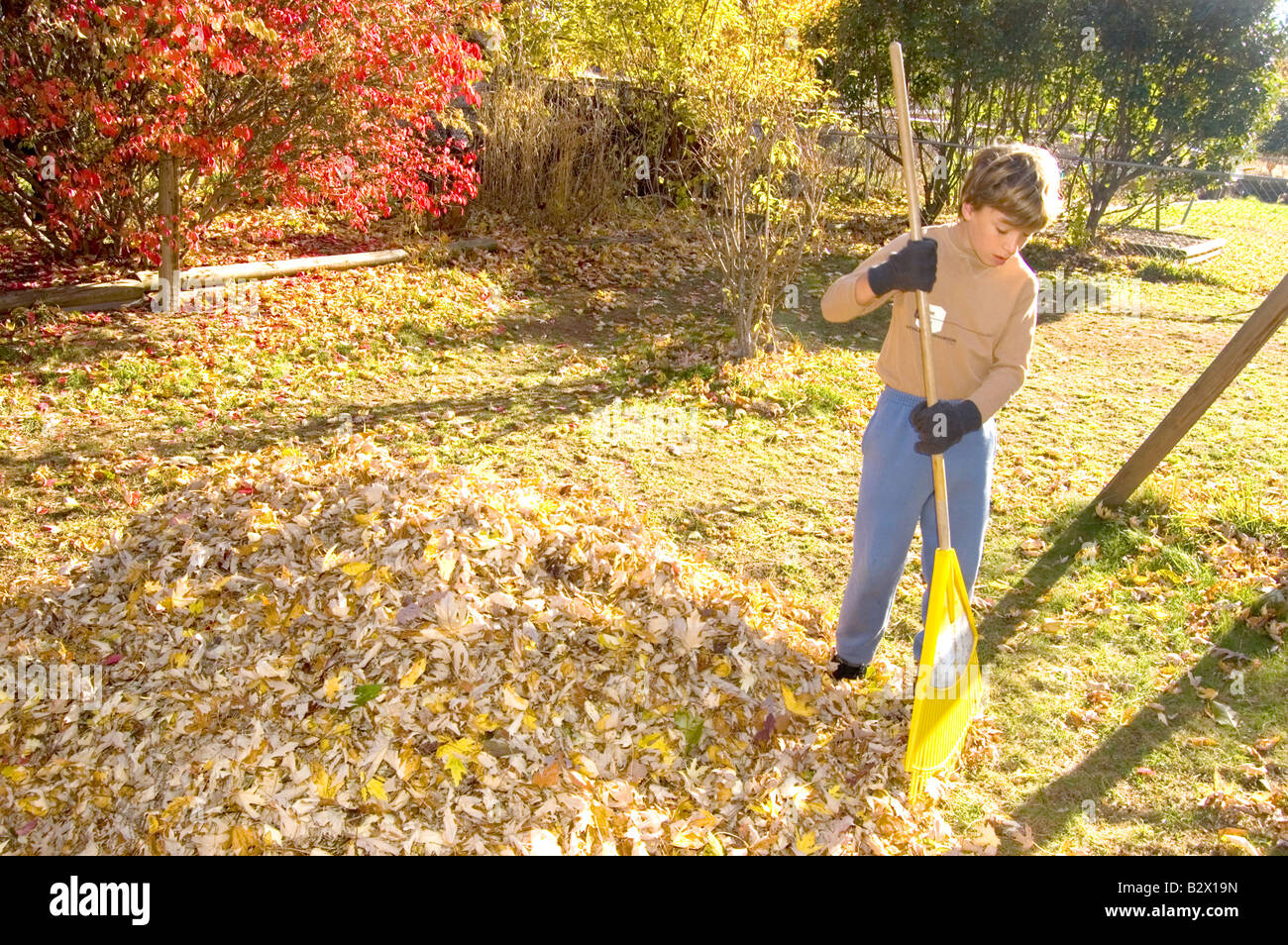 Boy raking leaves in yard hires stock photography and images Alamy