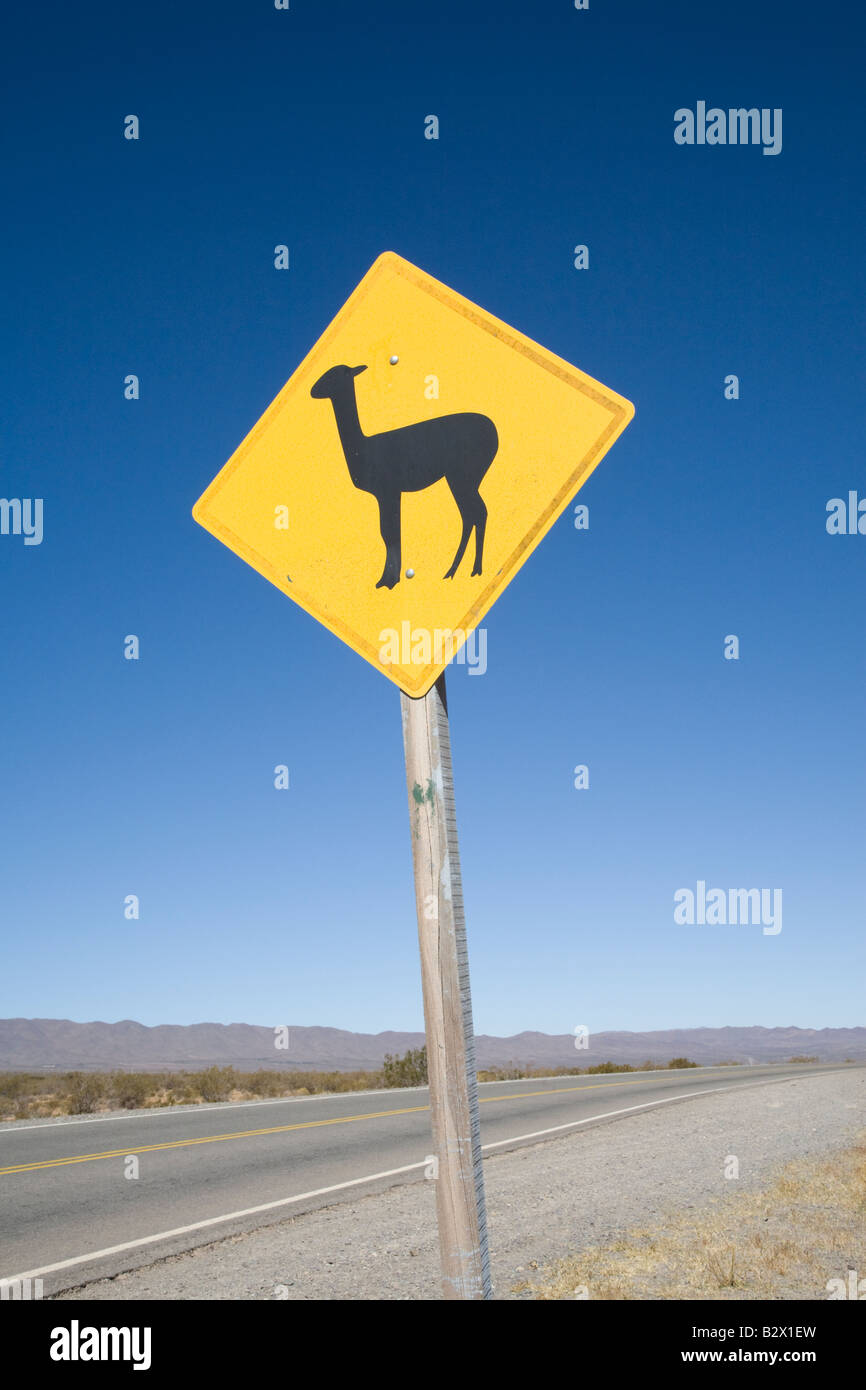 Recta del Tin Tin, Llama Sign, Parque Nacional Los Cardones, Northern Argentina Stock Photo