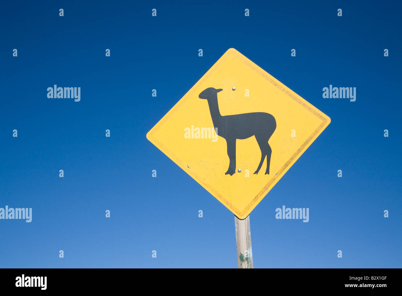 Recta del Tin Tin, Llama Sign, Parque Nacional Los Cardones, Northern Argentina Stock Photo
