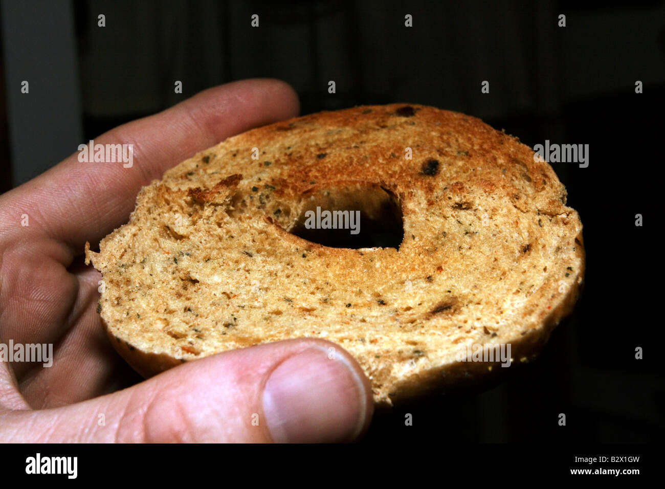 Toasted herb bagel. Stock Photo