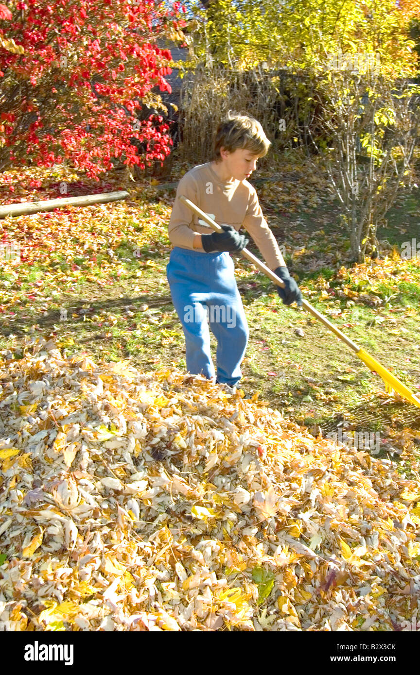 Boy raking leaves in yard hires stock photography and images Alamy
