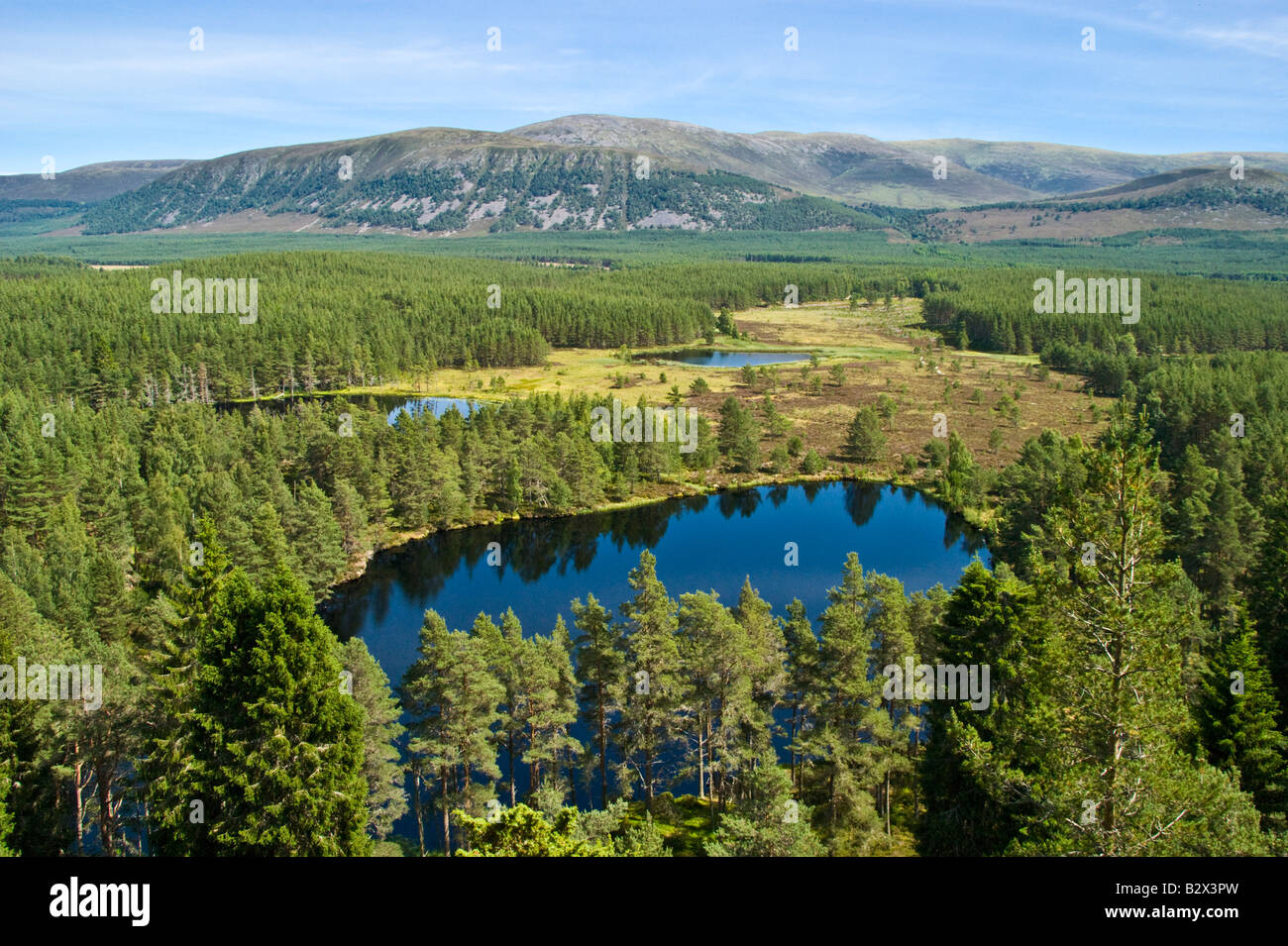 A view of Uath Lochans in Feshiebridge in the Cairngorms National Park Highland Scotland Stock Photo