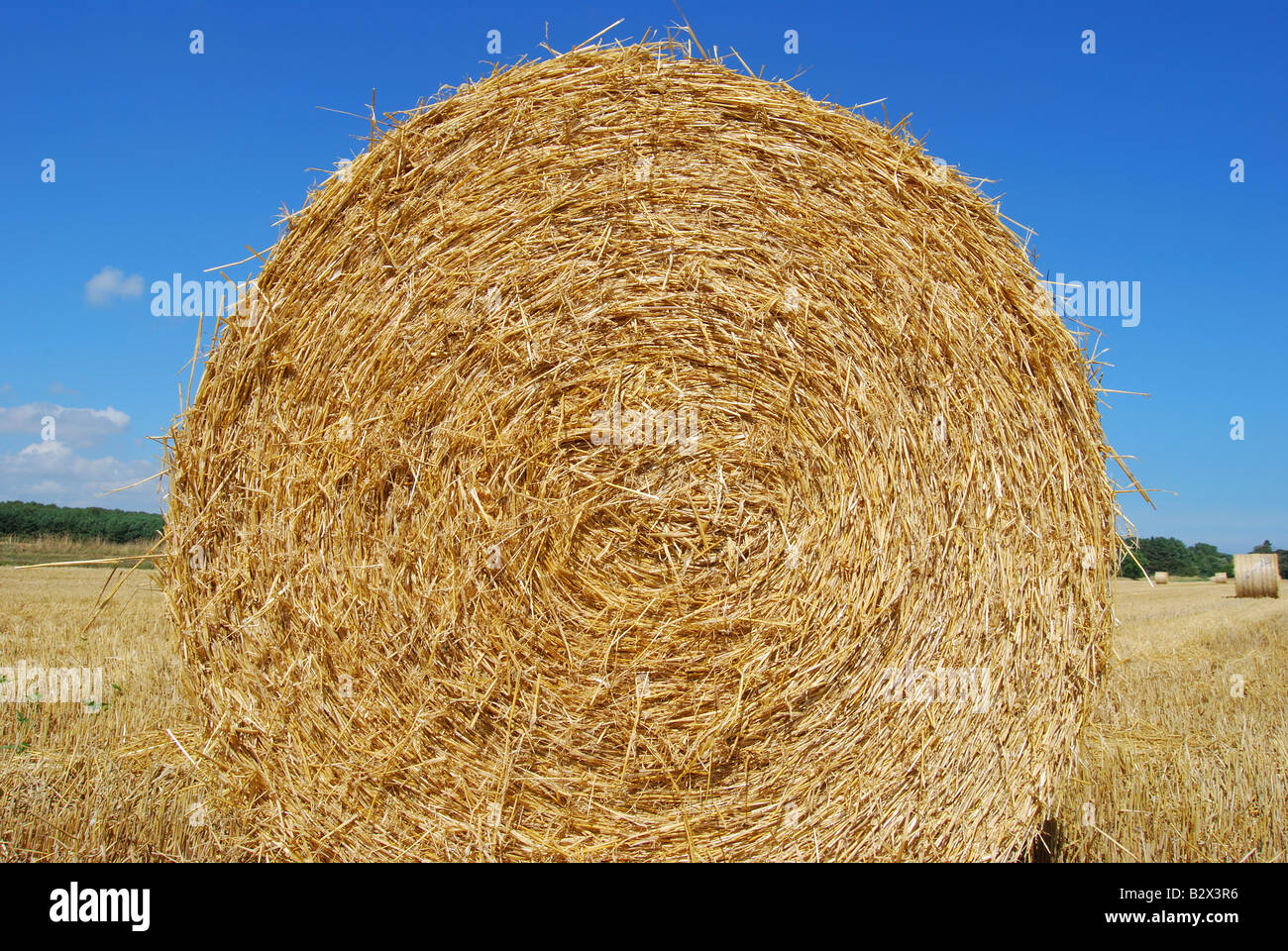 Bale of hay hi-res stock photography and images - Alamy