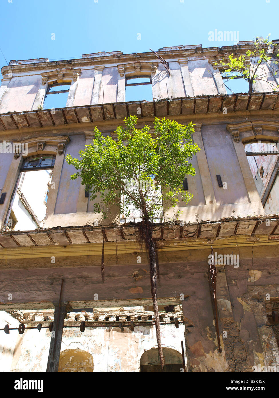 Havanna Vieja, old city, house ruin, tree growing in the air Stock Photo