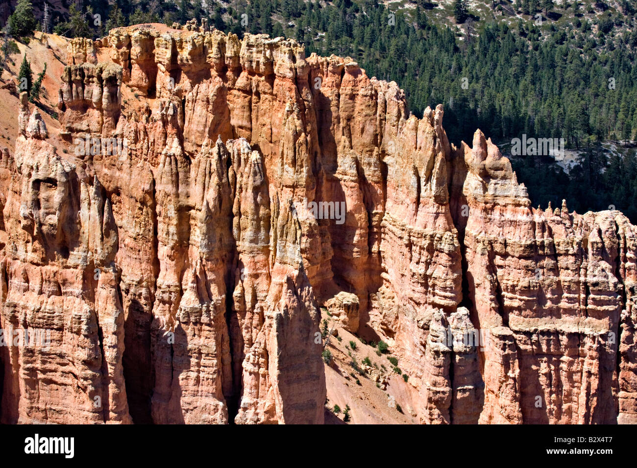 Bryce Canyon from Rainbow Point Stock Photo