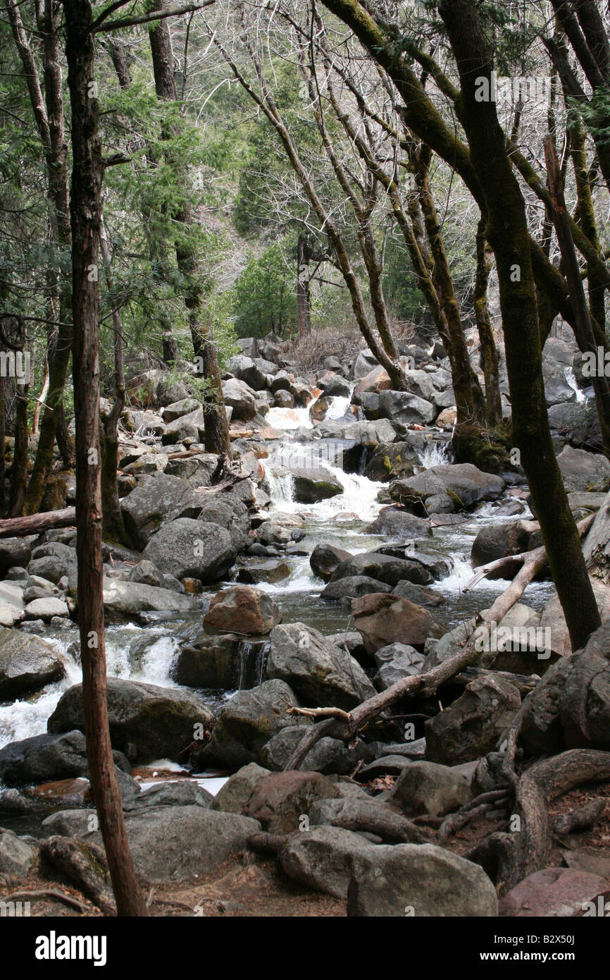 Stream Between Two Rocks Stream flowing between rocks in Yosemite Forest Stock Photo - Alamy