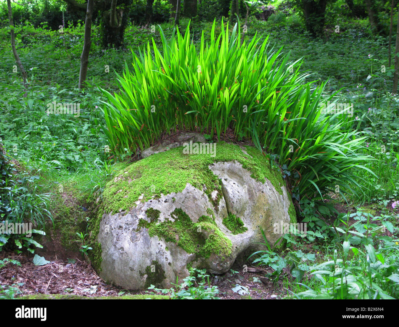 Lost Gardens of Heligan, Green Head, garden, grass for hair, moss covered face, under the trees, Mevagissey, Cornwall, Gardenesque style, design style Stock Photo