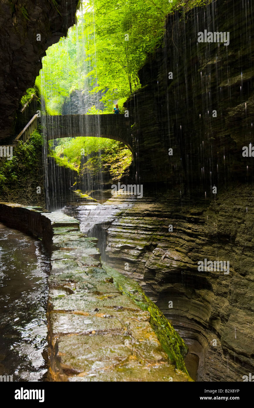 Scenic bridge and waterfalls along stoney trail in Watkins Glen State