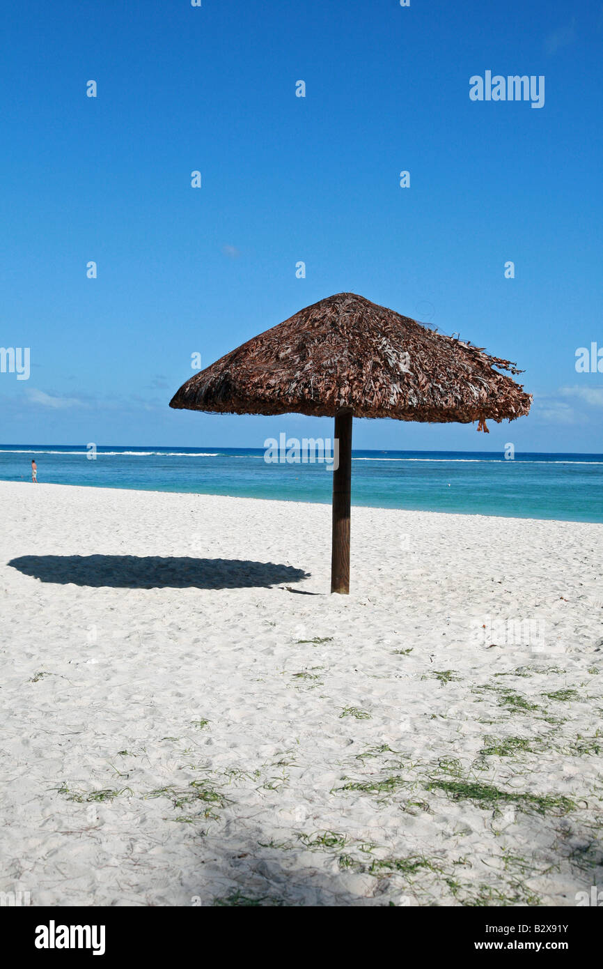 Shade in mauritius Stock Photo Alamy