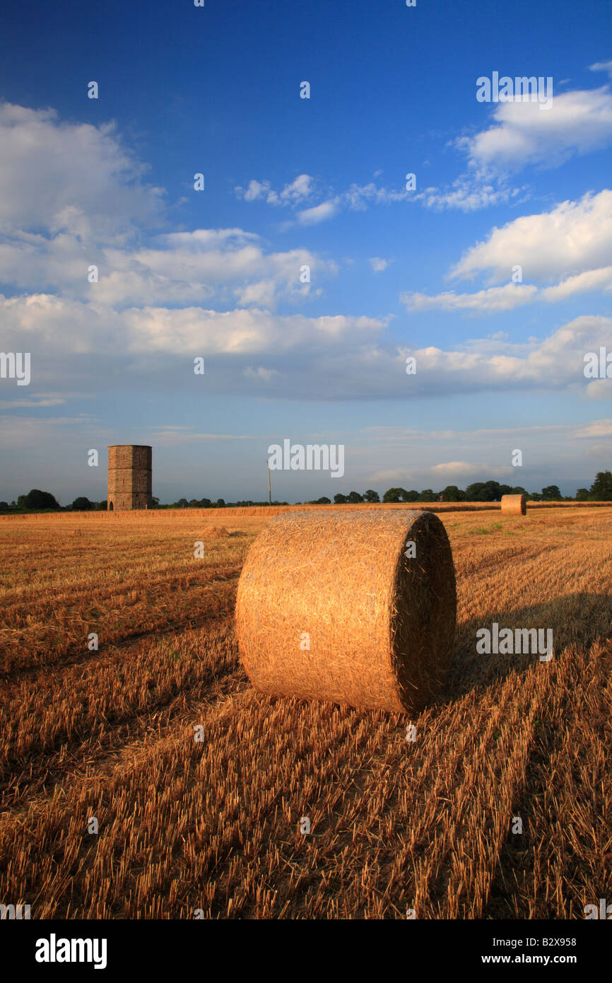 Straw bales in a field with Rickerby Folly Tower. Rickerby, Cumbria, England, United Kingdom. Stock Photo