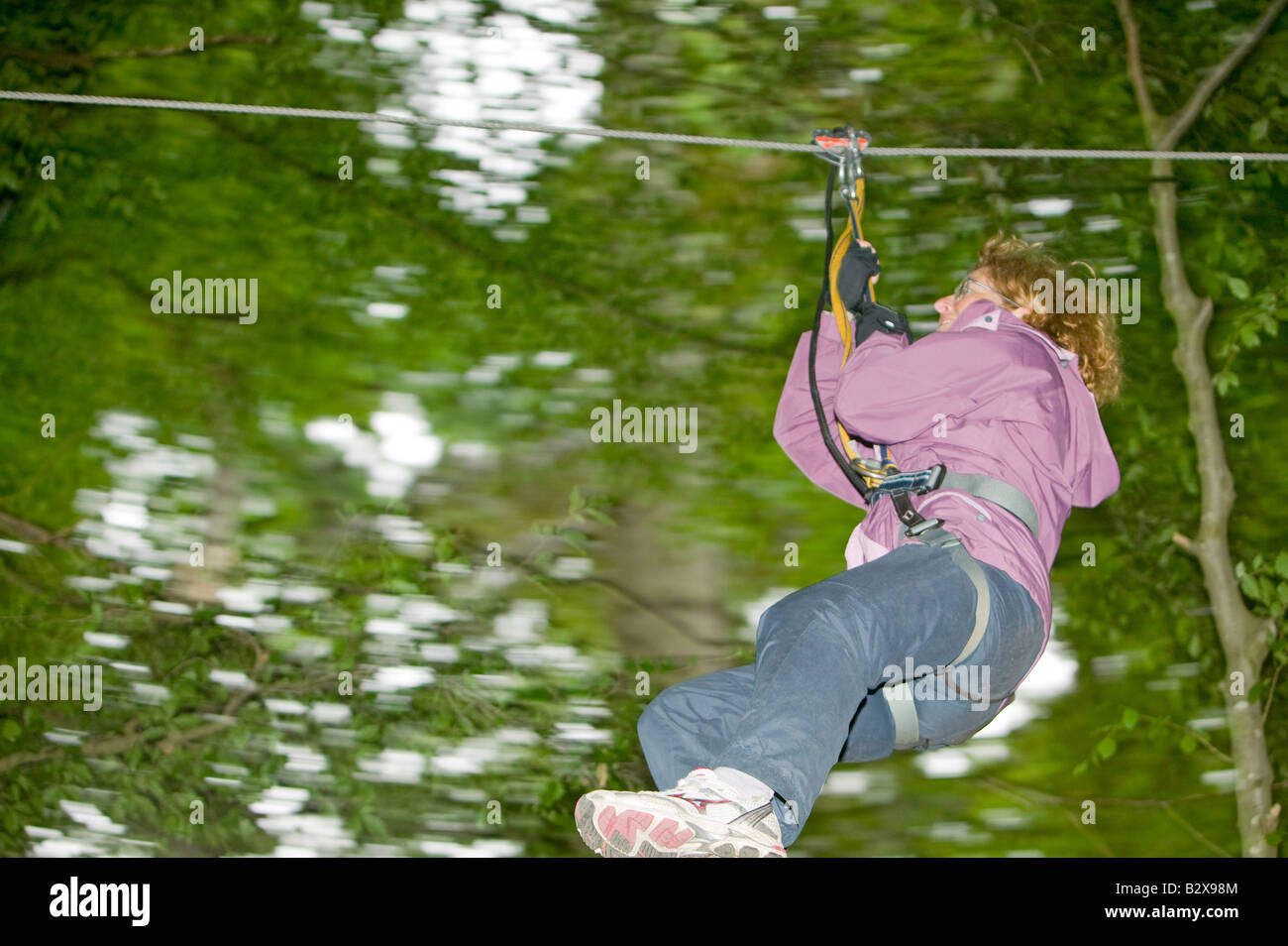A women on the the Go Ape aerial challenge in Grizedale Forest in Cumbria UK Stock Photo