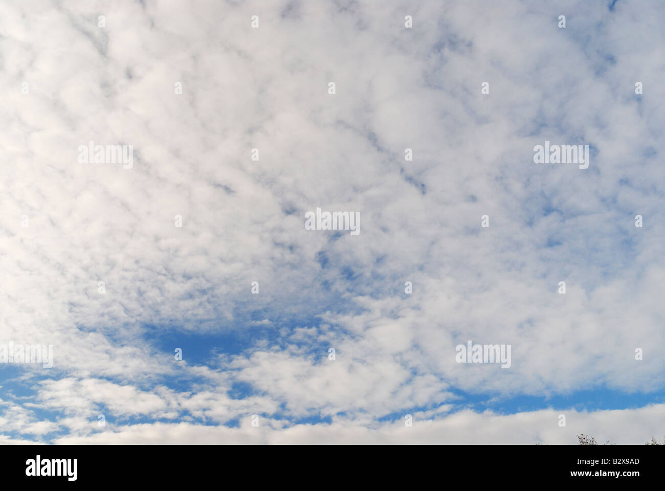 Gathering clouds Stock Photo Alamy