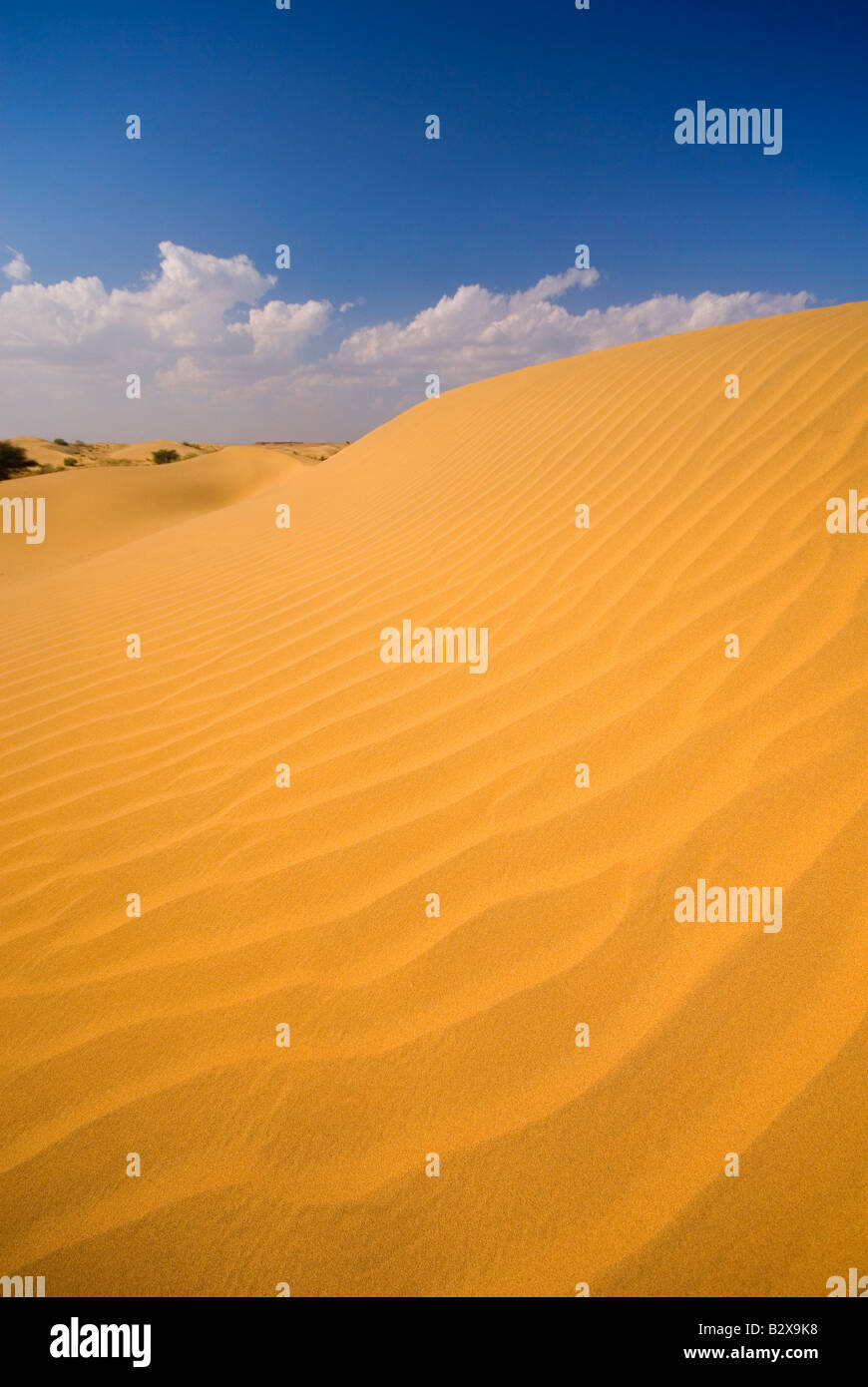 Sam Sand Dunes, Great Thar Desert, Rajasthan, India, Subcontinent, Asia Stock Photo