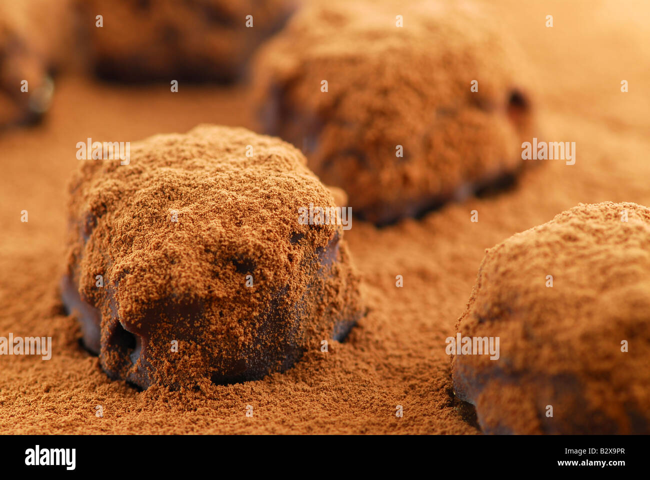 Macro image of dark chocolate truffles sprinkled with cocoa powder Stock Photo