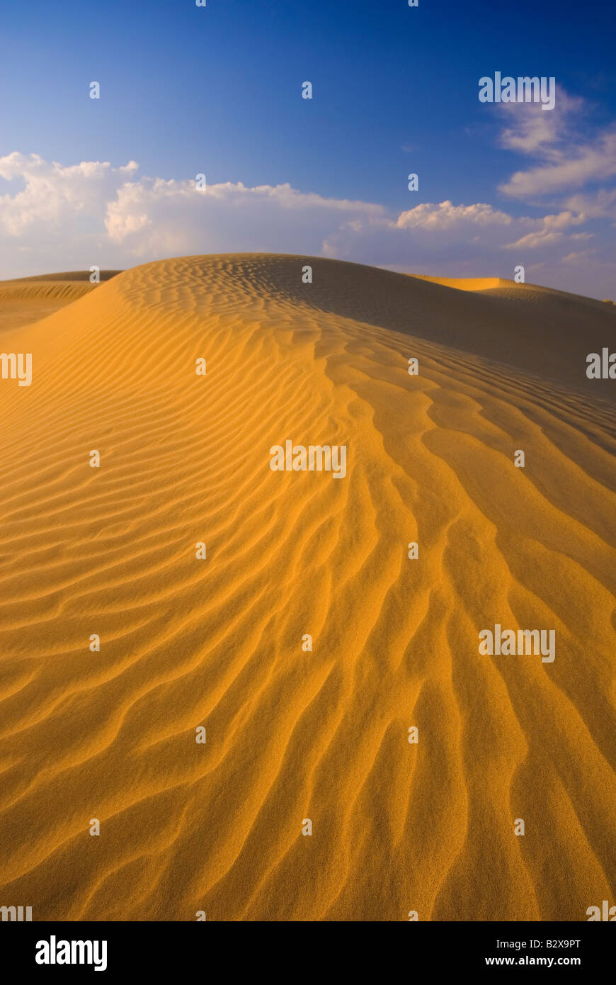 Sam Sand Dunes, Great Thar Desert, Rajasthan, India, Subcontinent, Asia Stock Photo