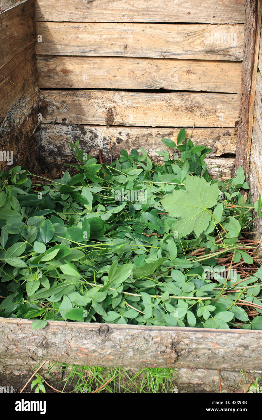FILLING A COMPOST BIN DECIDUOUS HEDGE TRIMMINGS WILL ROT DOWN FAIRLY