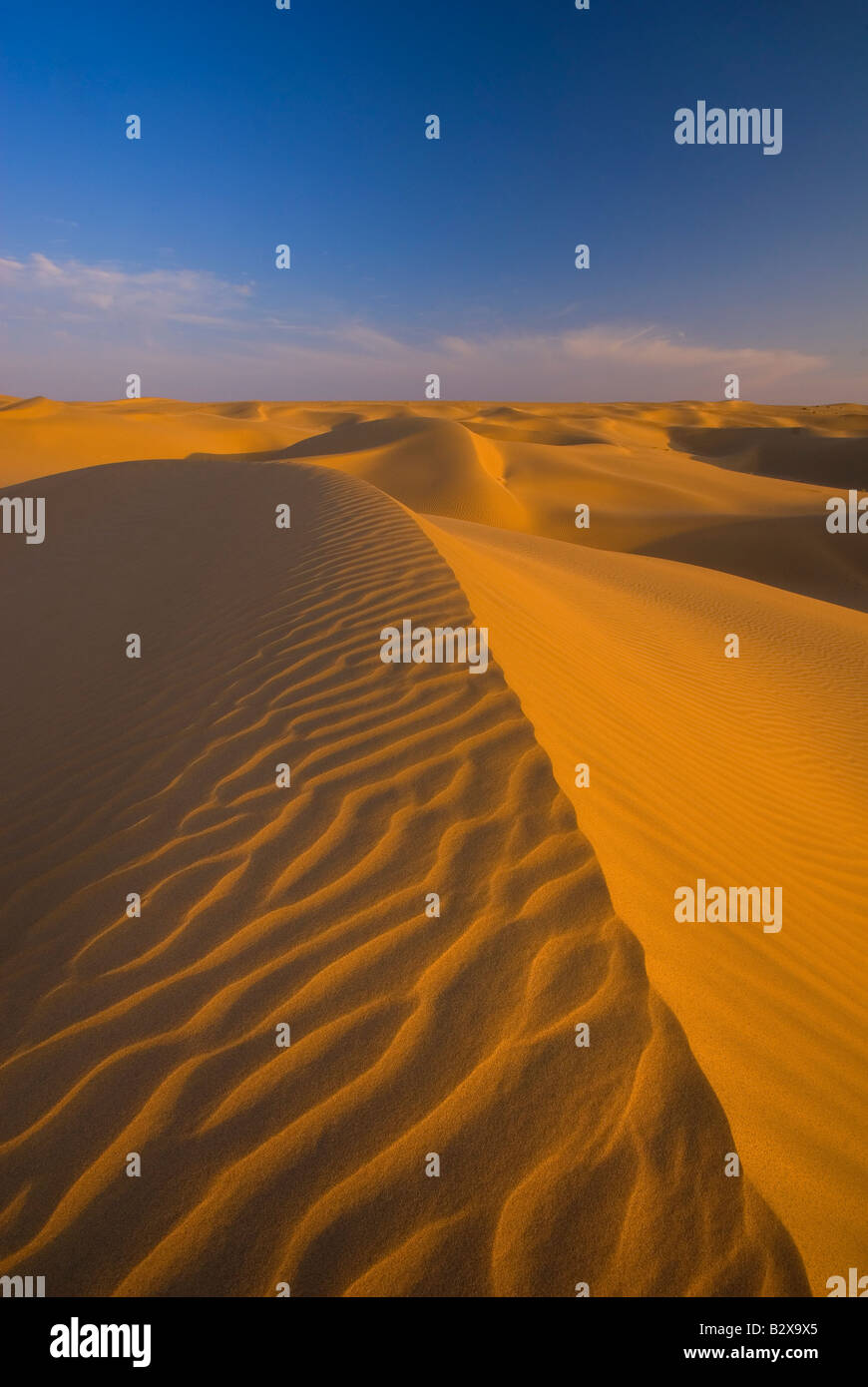 Sam Sand Dunes, Great Thar Desert, Rajasthan, India, Subcontinent, Asia Stock Photo