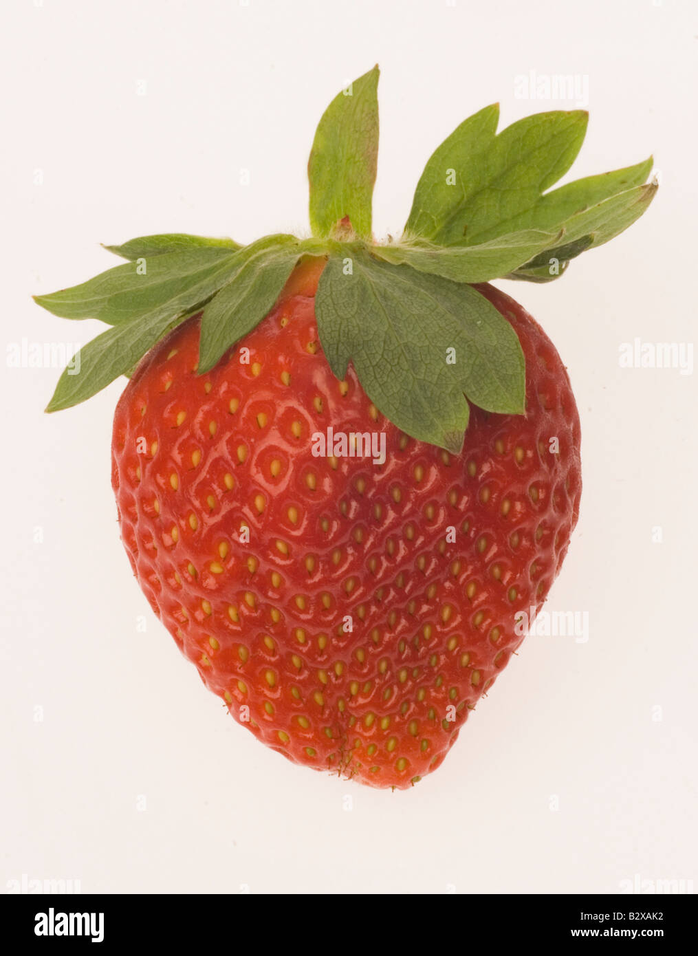 Lone strawberry Cut Out Stock Images & Pictures - Alamy