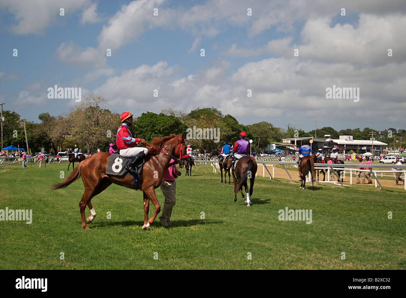 2006 Barbados horse racing, Sandy Lane Gold Cup in Garrison Savannah