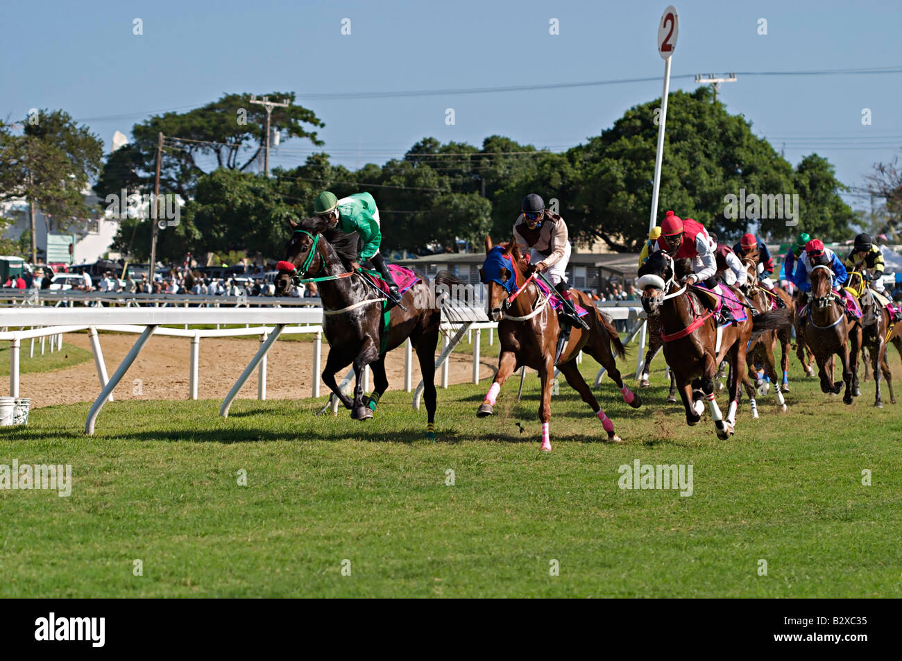 2006 Barbados horse racing, Sandy Lane Gold Cup in Garrison Savannah